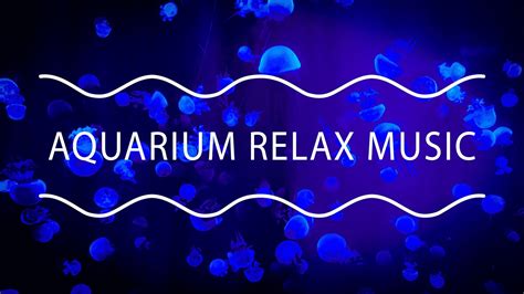 Aquarium Relax Music Relaxing Sleep Meditation Music Jellyfish