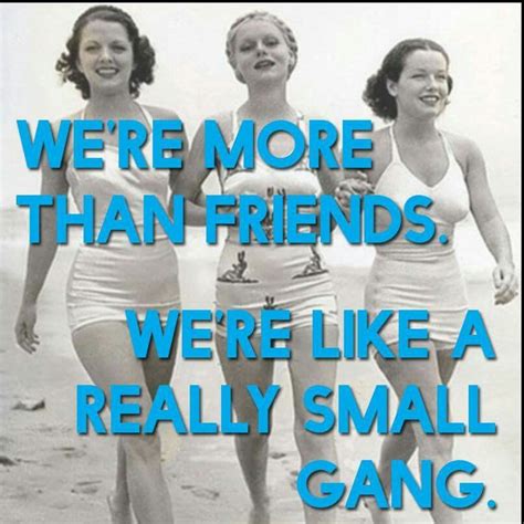 We Re More Than Friends We Re Like A Really Small Gang Funny Quotes Gang Humor