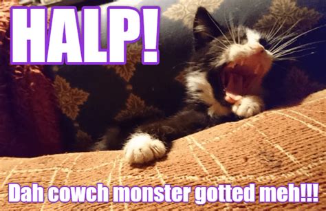 Halloween Horror Stories Lolcats Lol Cat Memes Funny Cats