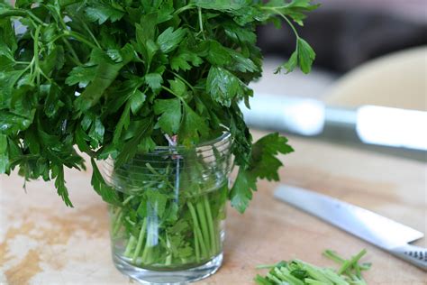 Storing Parsley And Other Fresh Herbs Cooking With Drew