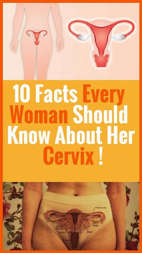 10 Facts Every Woman Should Know About Her Cervix En 2020