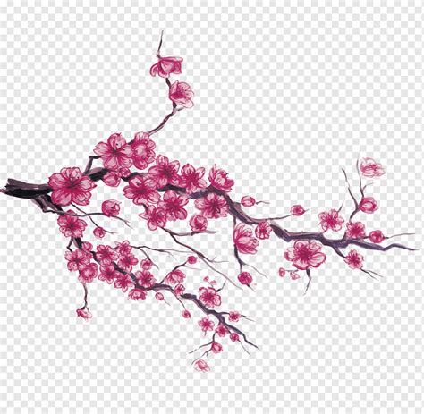 Pink Flowering Tree Illustration Japan Cherry Blossom Hand Painted