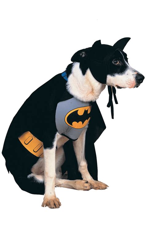 All Costumes Uk See Our Full Range Of Dog Fancy Dress