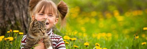 Home Allergy And Asthma Center Of Western Colorado