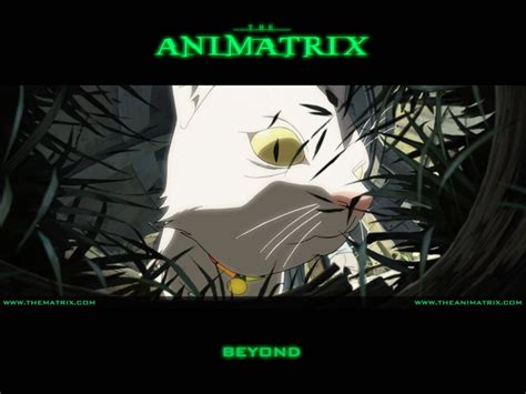 The Animatrix Movies Wallpaper 69274 Fanpop