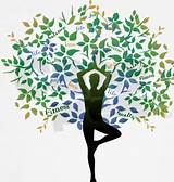 Images of Yoga Tree