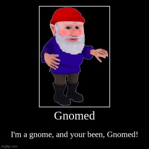 Gnomed Imgflip