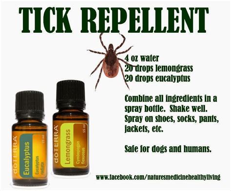 Natural Tick Remedy Ticks Remedies Remedies Essential Oils