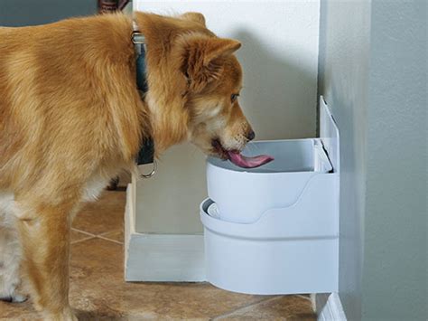 Perpetual Well Automatic Water Bowl Perpetual Well