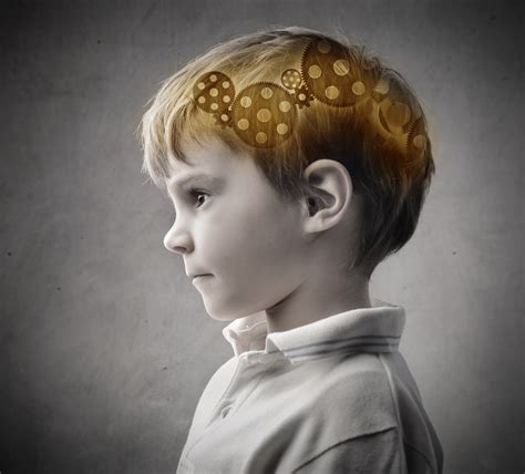 Brain Development The Child Psychology Service