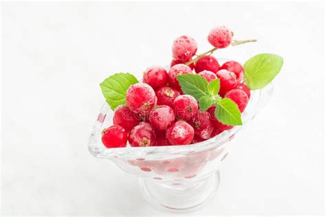 Frozen Red Currant With Mint Stock Image Image Of White Sauce 97703441