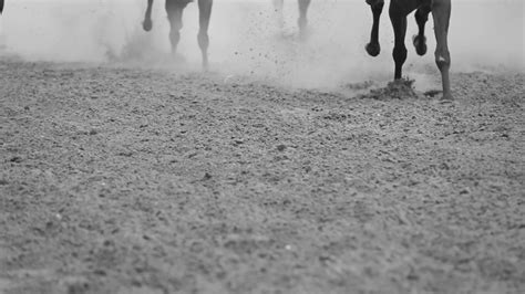 Legs Of Horses Galloping Slow Motion Stock Footage Sbv 326906093