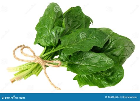 Spinach Leaves Isolate On White Background Healthy Food Stock Photo