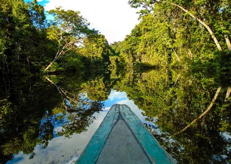 16 Largest Rainforests In The World Travelers Guide Storyteller Travel