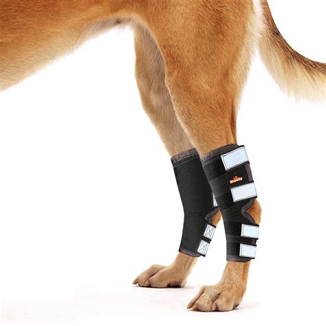 Buy Neoally Rear Leg Hock Brace Dog Leg Brace For Rear Leg Hock