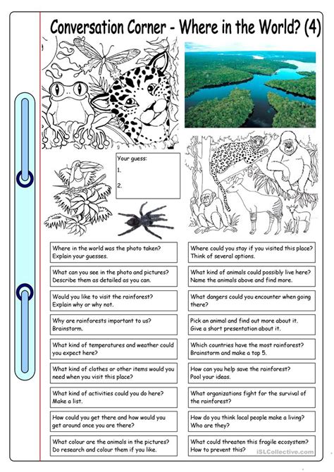 Rainforest Worksheet For Kindergarten