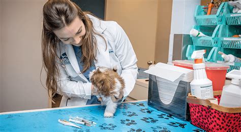 Our thrive locations are expanding across the us. Pet Vaccinations Near Me 70065 - Chateau Veterinary Hospital