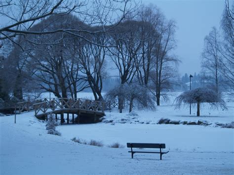 Finnish Winter Hatanpään Arboretum Tampere Finland Reisen