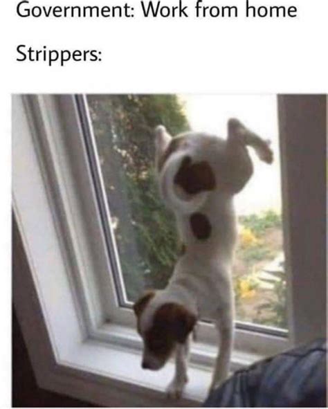Stripping Is Stripping Rmemes