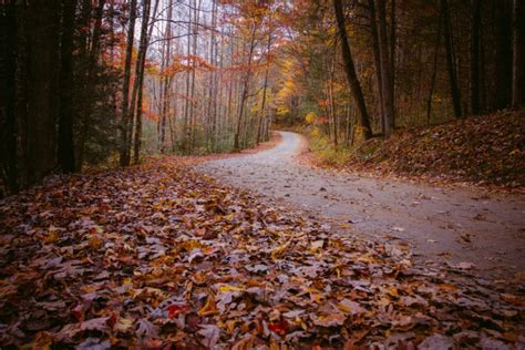 4 Of The Best Things To Do In Blue Ridge Ga In The Fall