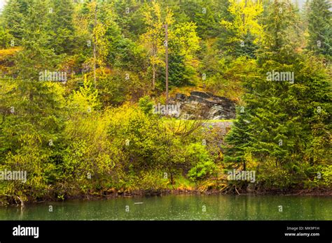 Landscape Shot Of A Rain Forest In Alaska Stock Photo Alamy