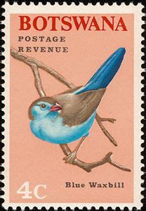 Stamp Blue Waxbill Uraeginthus Angolensis Botswana Birds Mi