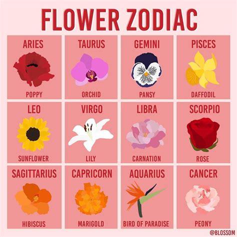 What Is The Flower For Cancer Zodiac