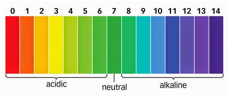 Universal Indicator And The PH Scale Diagram Quizlet