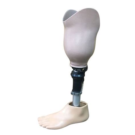 Below Knee Prostheses कृत्रिम अंग Sandor Orthopedic