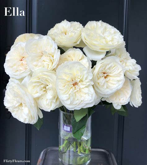 Three New Varieties Of David Austin Cut Roses Flirty Fleurs The