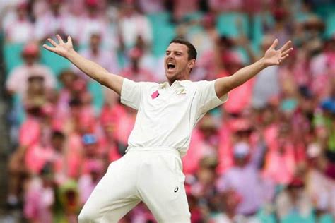 Both cheteshwar pujara and josh hazlewood were to feature for the chennai super kings in ipl 2021 until the australia pacer pulled out of the tournament on wednesday. Cricket Australia finds Josh Hazlewood's missing finger