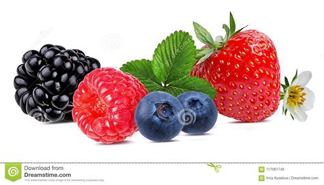 Berries Collection Raspberrystrawberry Blueberry Blackberry