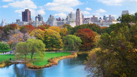 The Ultimate Guide To Central Park Propriedades Da Platina