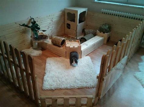 Great House Bunny Setup Cage Hamster Diy Guinea Pig Cage Guinea Pig
