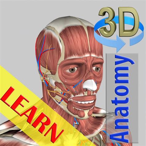 „3d Anatomy Learning“ Im App Store