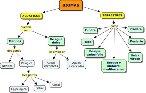 Mapas Conceptuales Biomas Tipos De Ecosistemas Ecosistemas The
