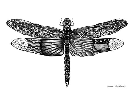 Dragonfly Drawing Carinewbi