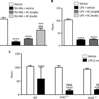 Trpv Channel Activity Modulates Uterine Contractility A Myography