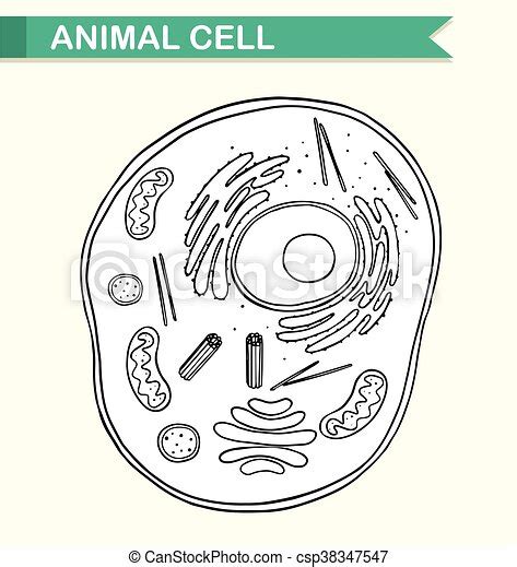 Diagramma Cellula Esposizione Animale Illustrazione