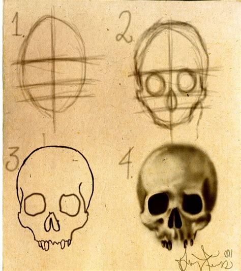 How To Draw A Skull Stepbystep By Dforssten On Deviantart Skulls