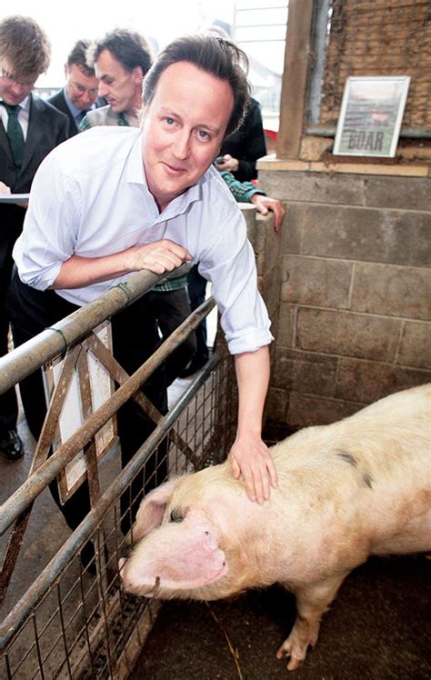 David Cameron Put Private Part In Dead Pigs Mouth Biography Claims