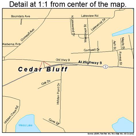 Cedar Bluff Alabama Street Map 0112760