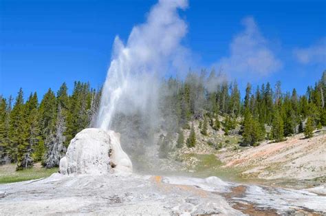 Everyday Postcard From Yellowstone National Park