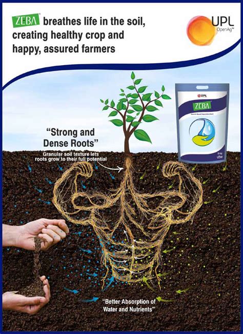 print ads media agriculture today