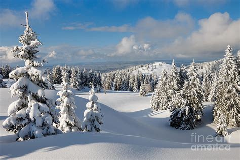 Beautiful Snowy Landscape Firs Photograph By Godin Stephane Pixels