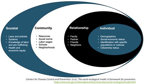 The Ecological Model