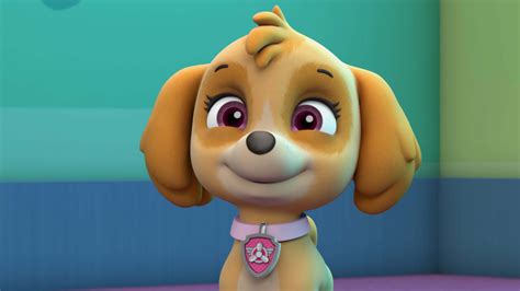 Watch Paw Patrol Season 5 Episode 23 Pups Save A Pluck O Matic Pups Save A Mascot Full Show