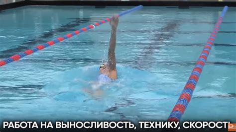 Плавание для взрослых 30-40-50+ лет: главные рекомендации | Обучение ...