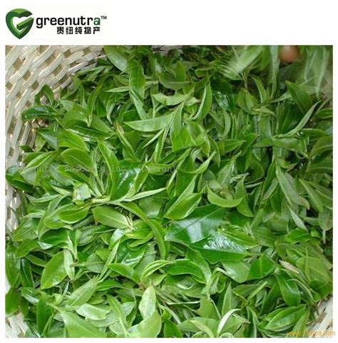 Herbal Tea Formula Powderchina Greenutra Price Supplier 21food