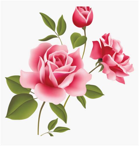 Pink Rose Clipart Pink Rose Art Picture Clipart Clipart Pink Roses